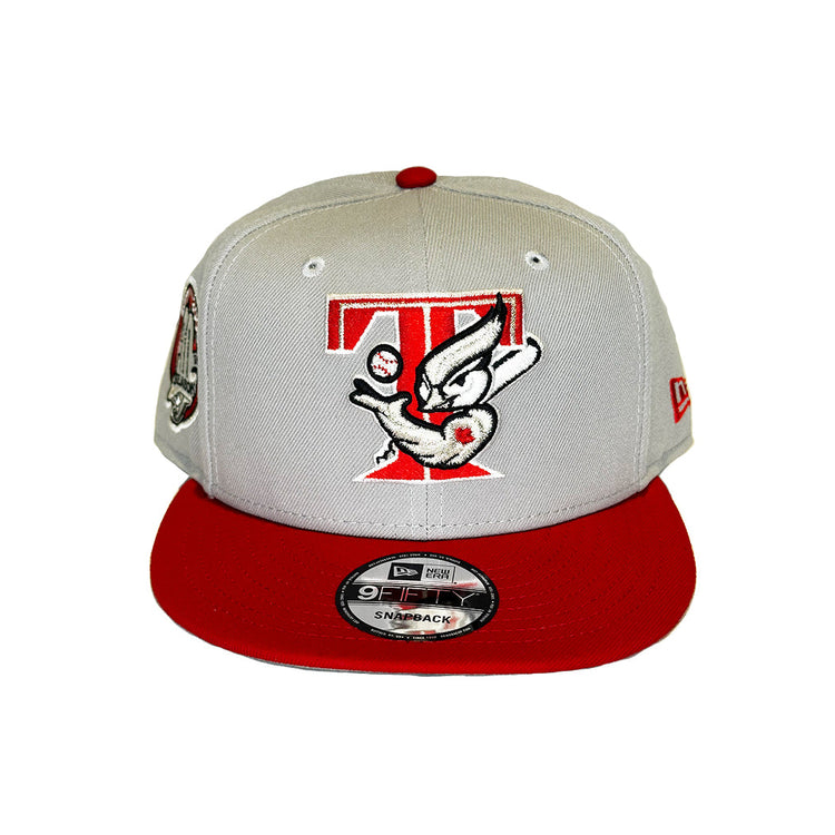 Snapbacks
